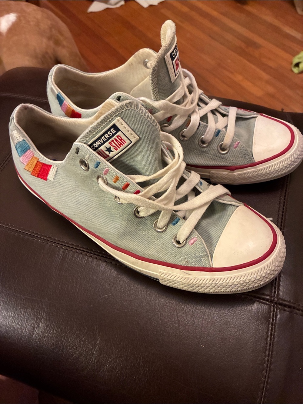 Converse Low Top Sneakers in Light Blue with Multicolor Embroidery